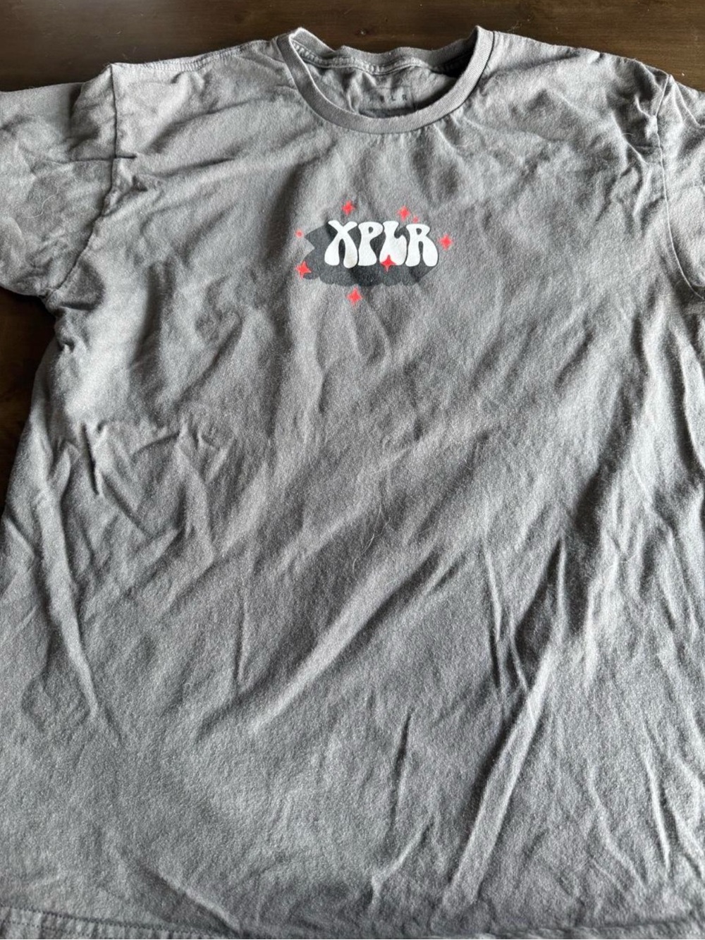 XPLR Men’s Gray Graphic Tee - Currently Fighting Demons